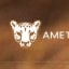 Amet Adventures