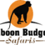 baboon budget safaris