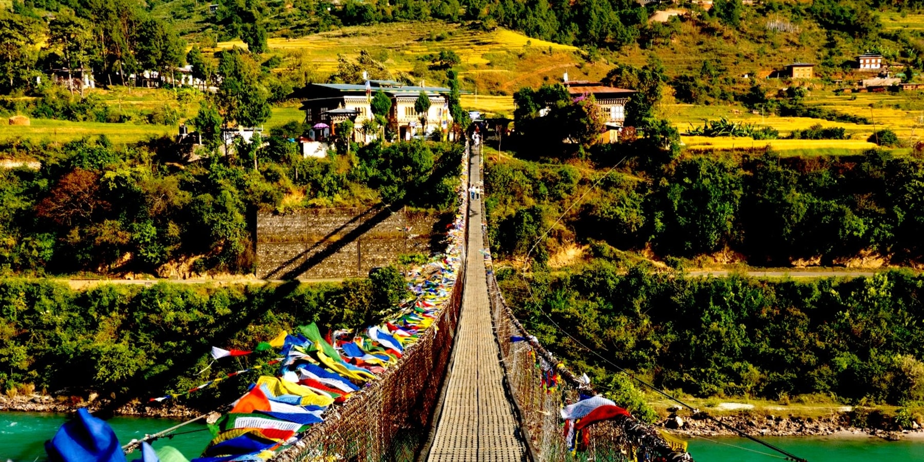 Article cover image