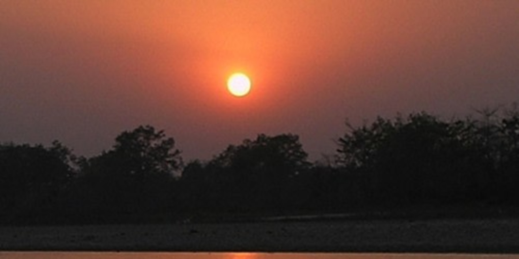 Article cover image