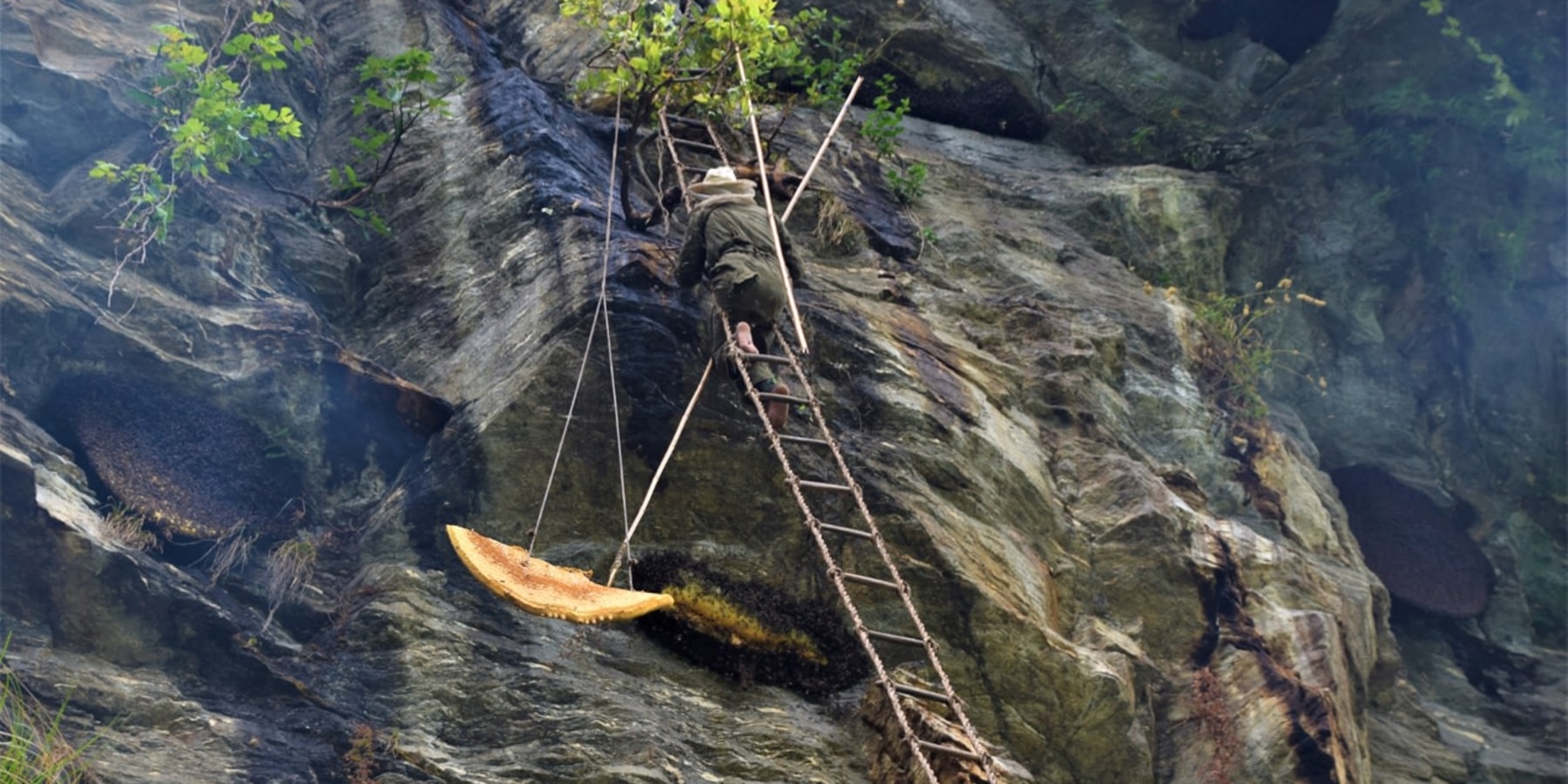 Article cover image