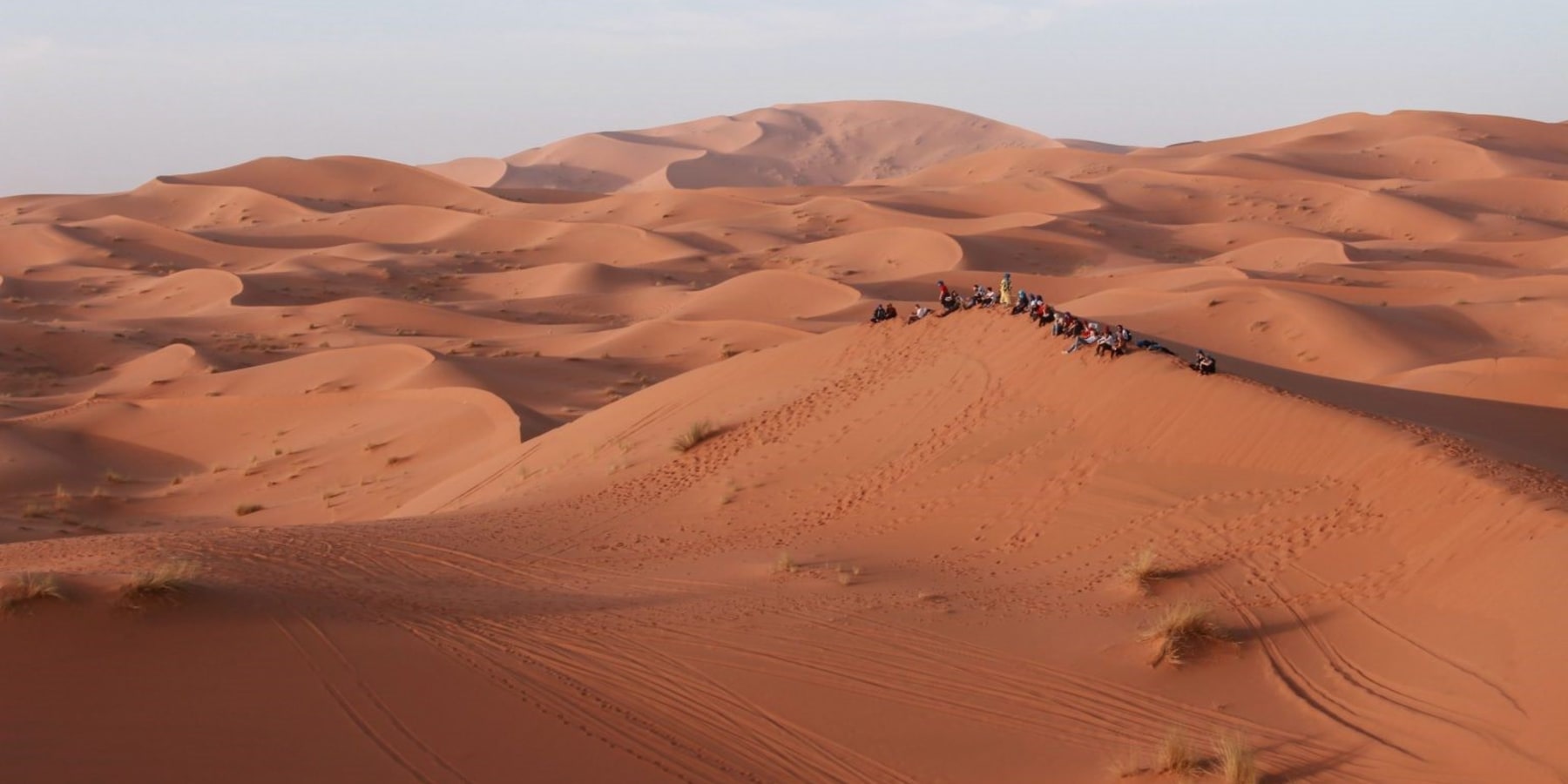 Article cover image