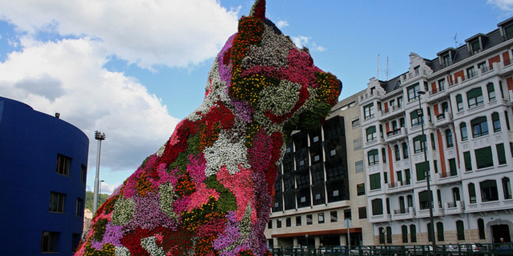 In the Basque Region of Spain: Art, Culture and a Puppy That Blooms - The  New York Times