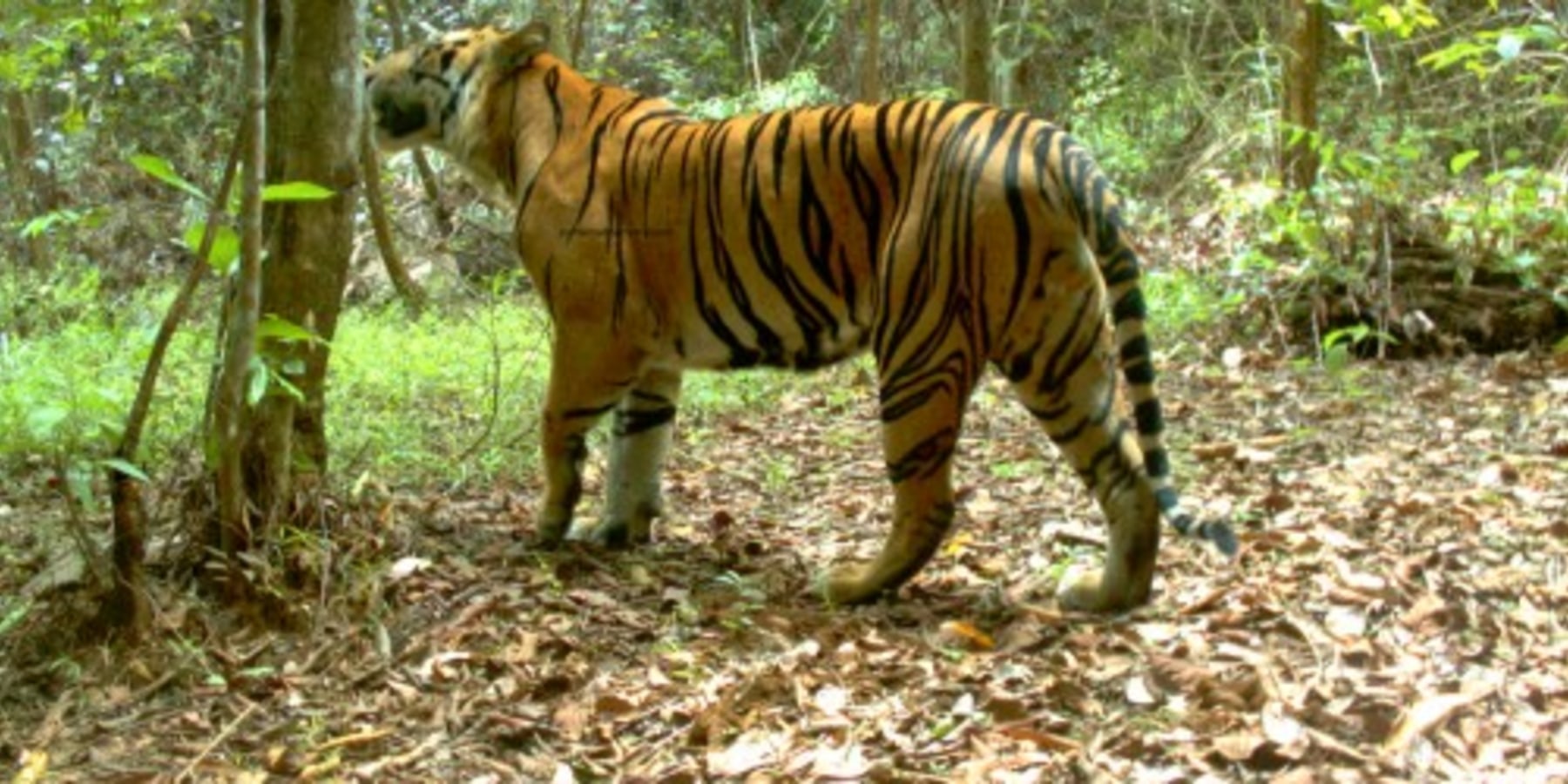 Article cover image