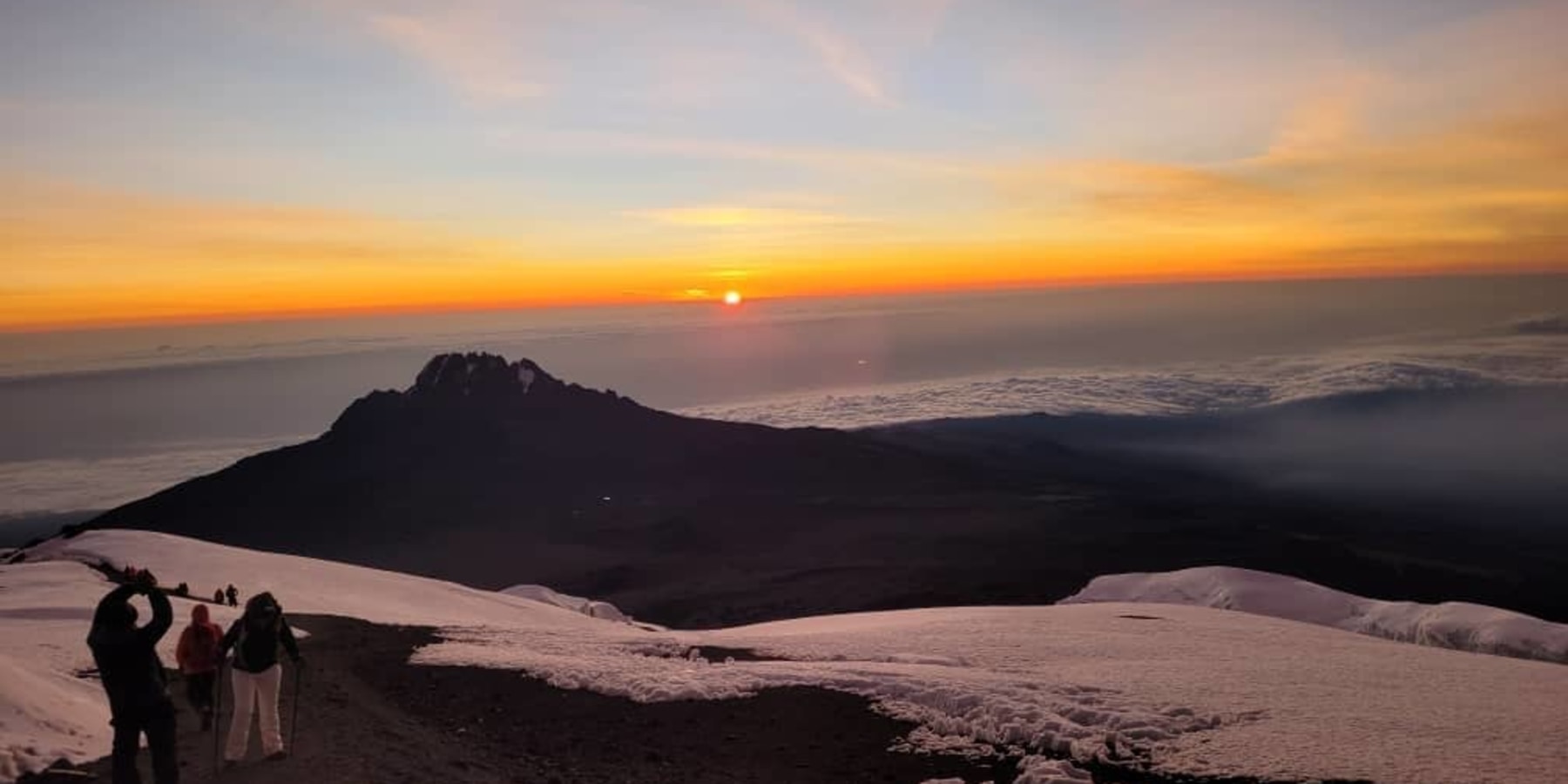 Article cover image