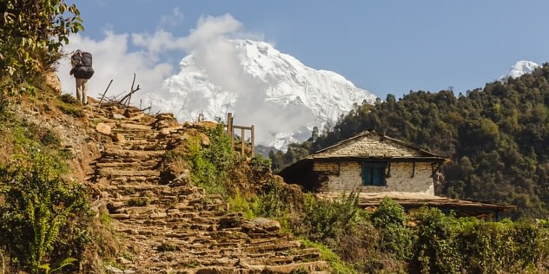 Article cover image