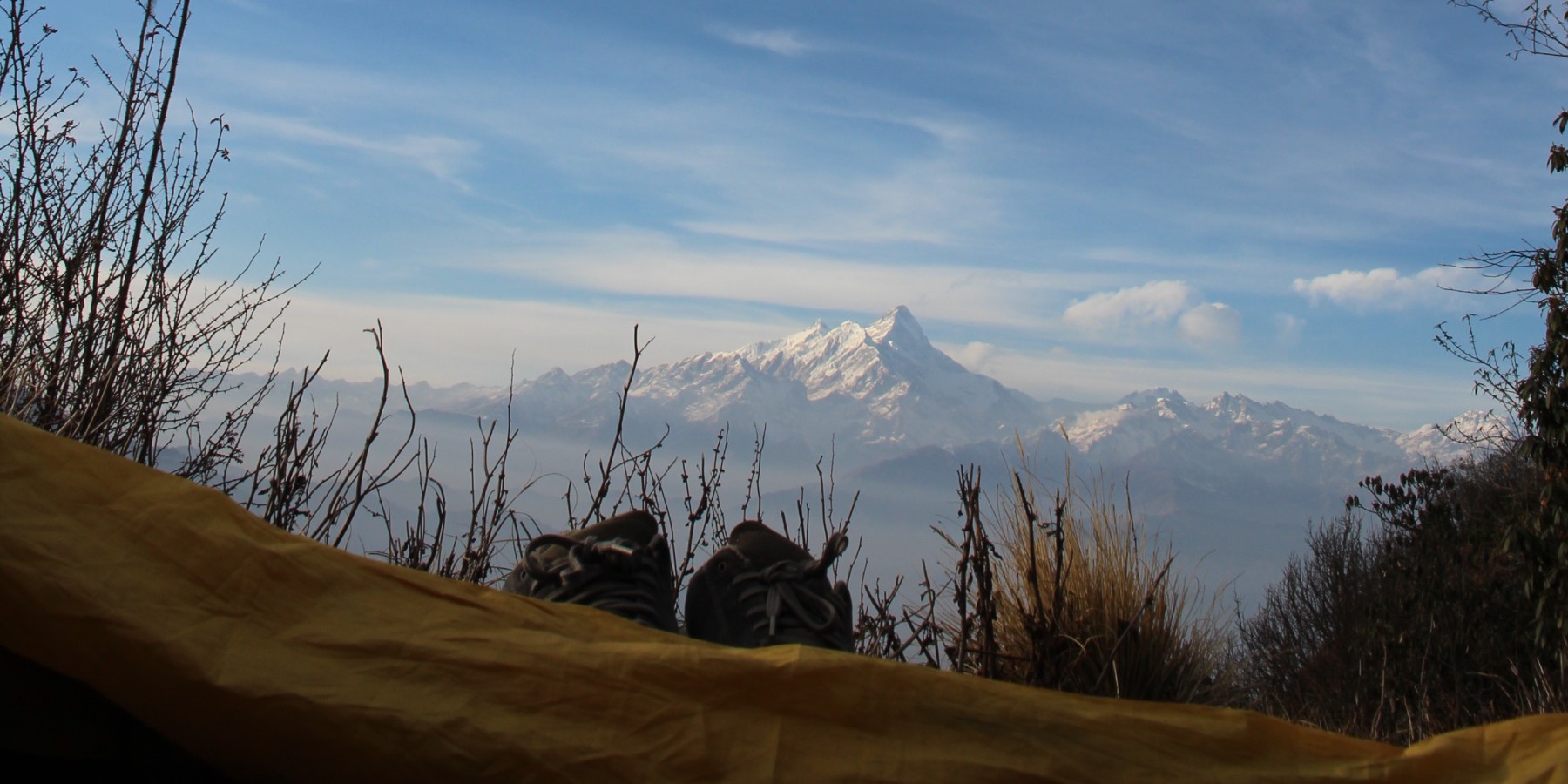 Article cover image