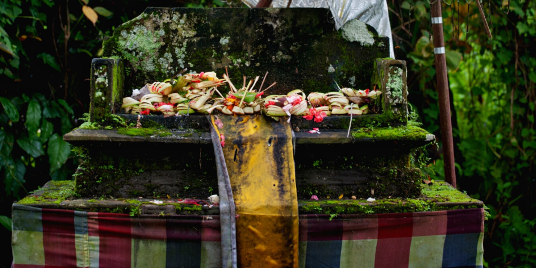 Article cover image