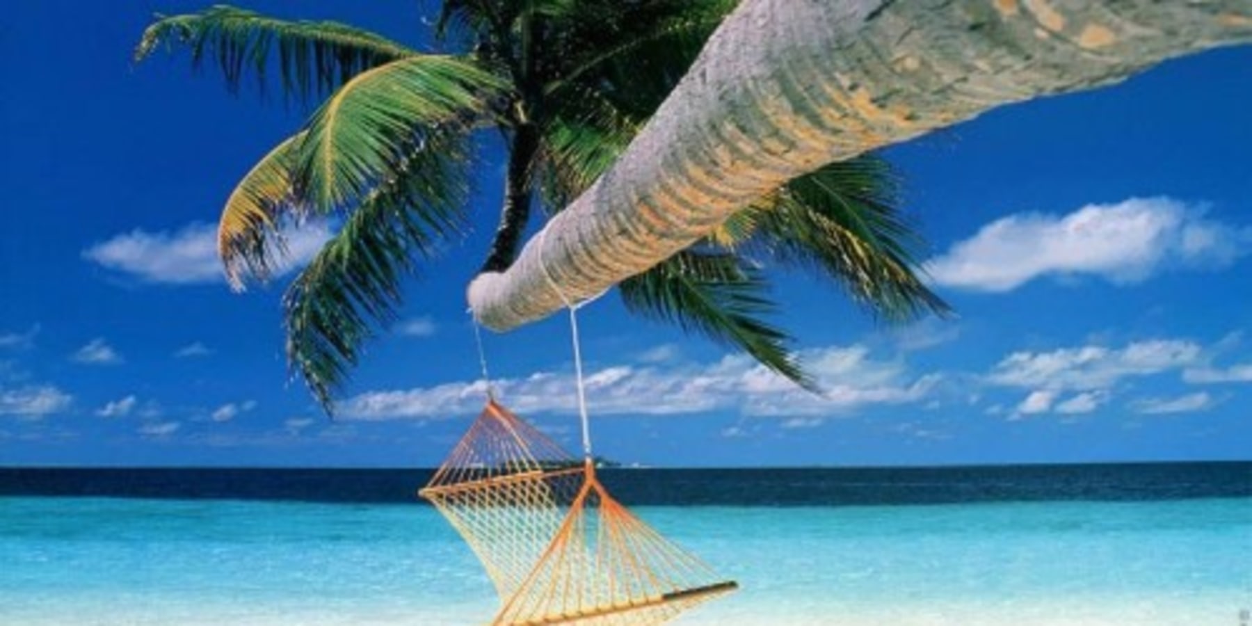 Article cover image