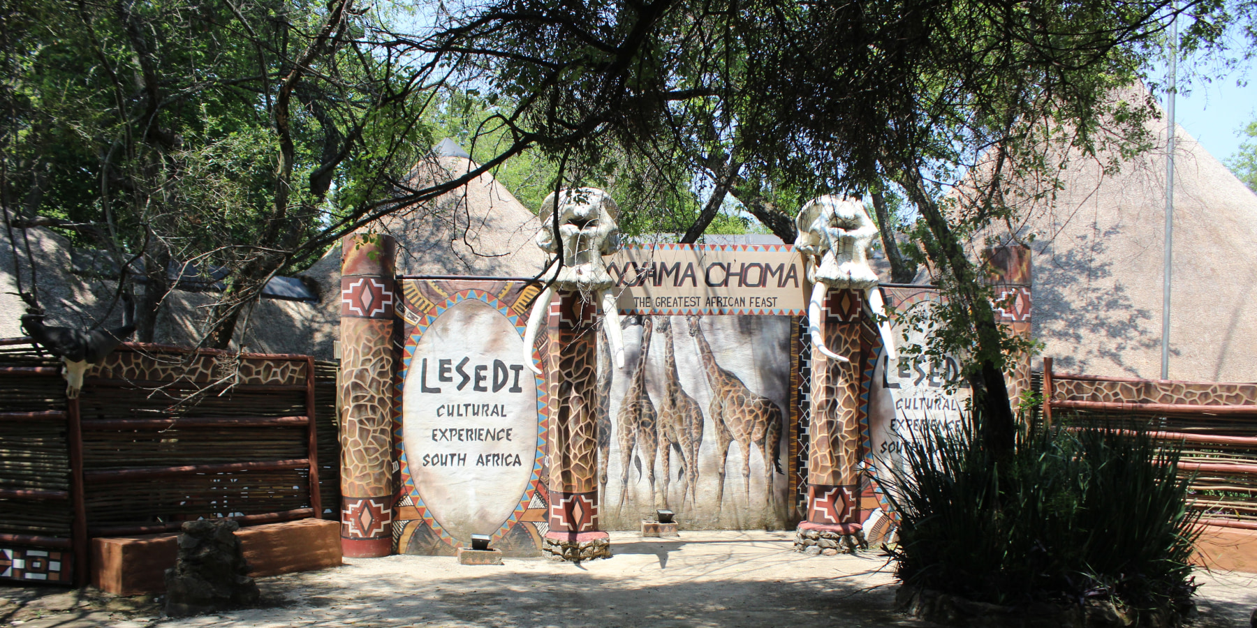 Article cover image