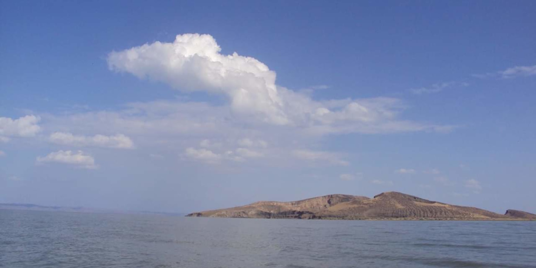 Article cover image