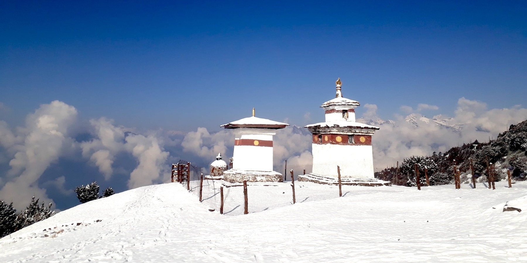 Article cover image