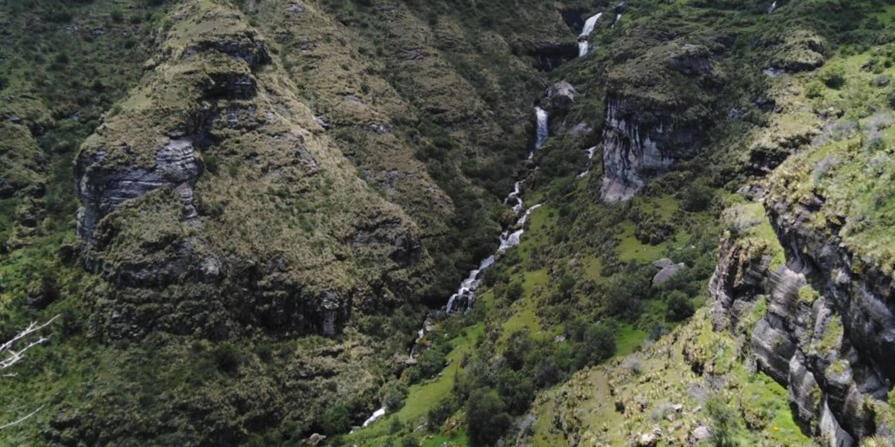 Article cover image