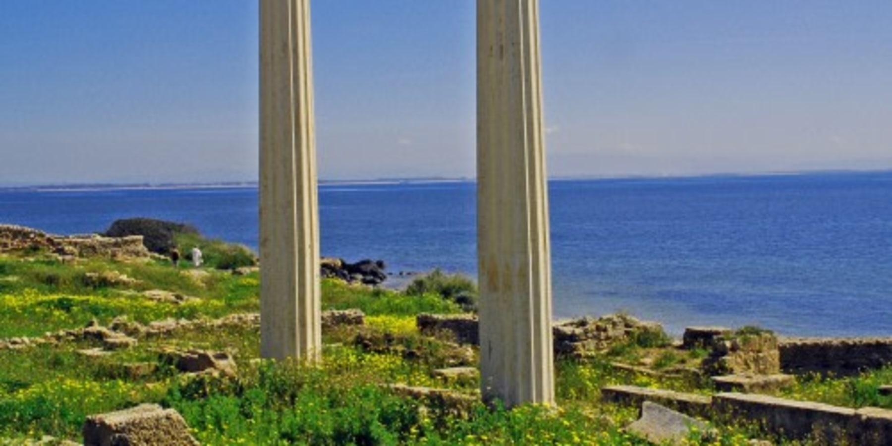 Article cover image