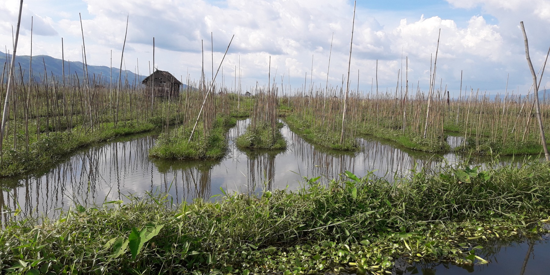 Inle Lake's Floating Gardens