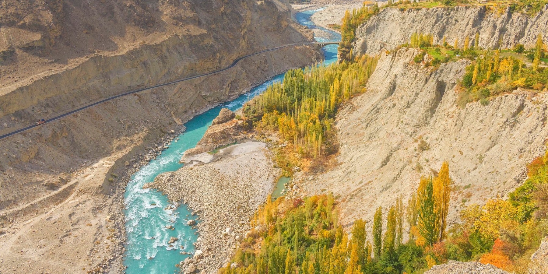 Article cover image
