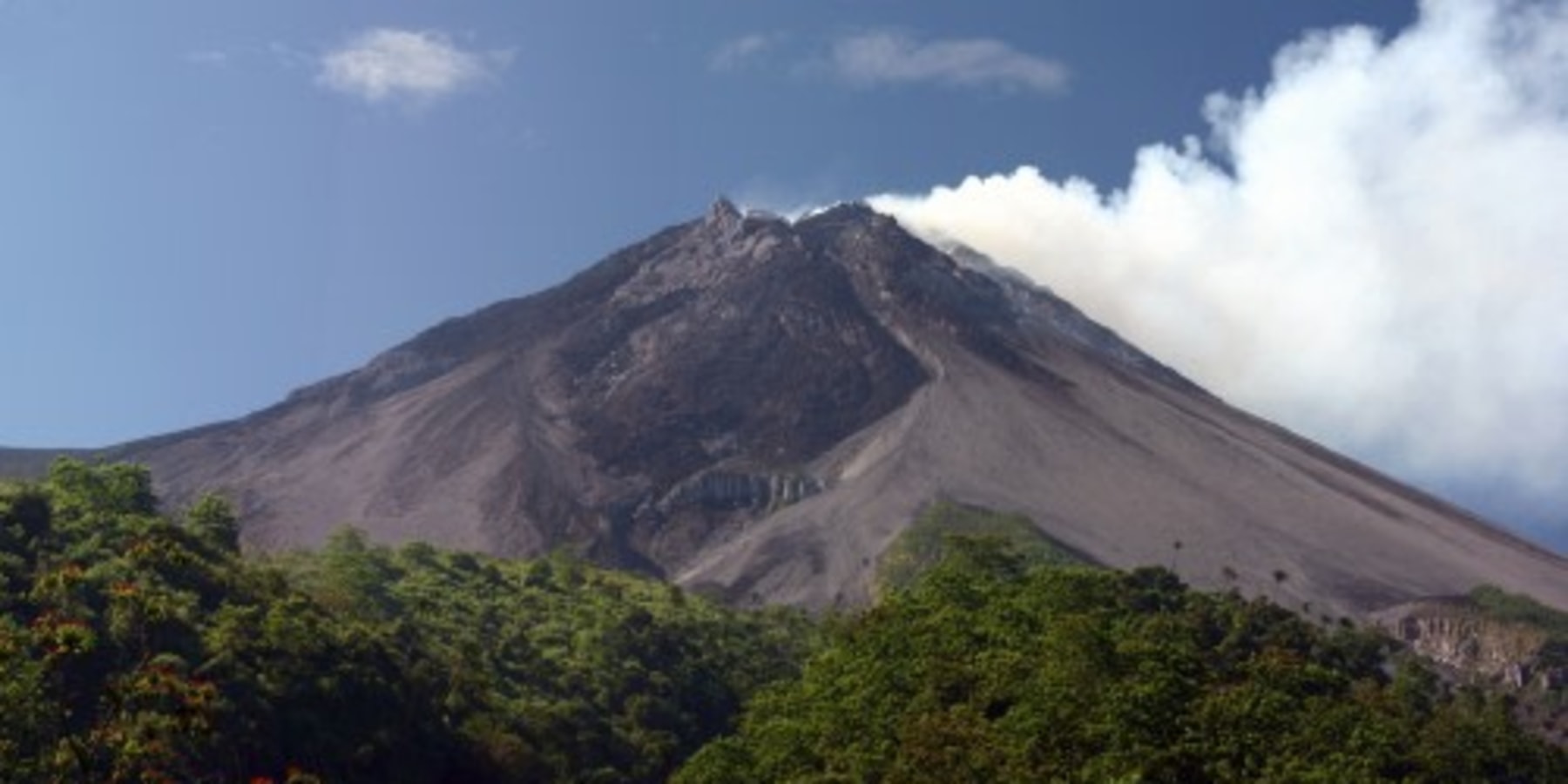 Article cover image