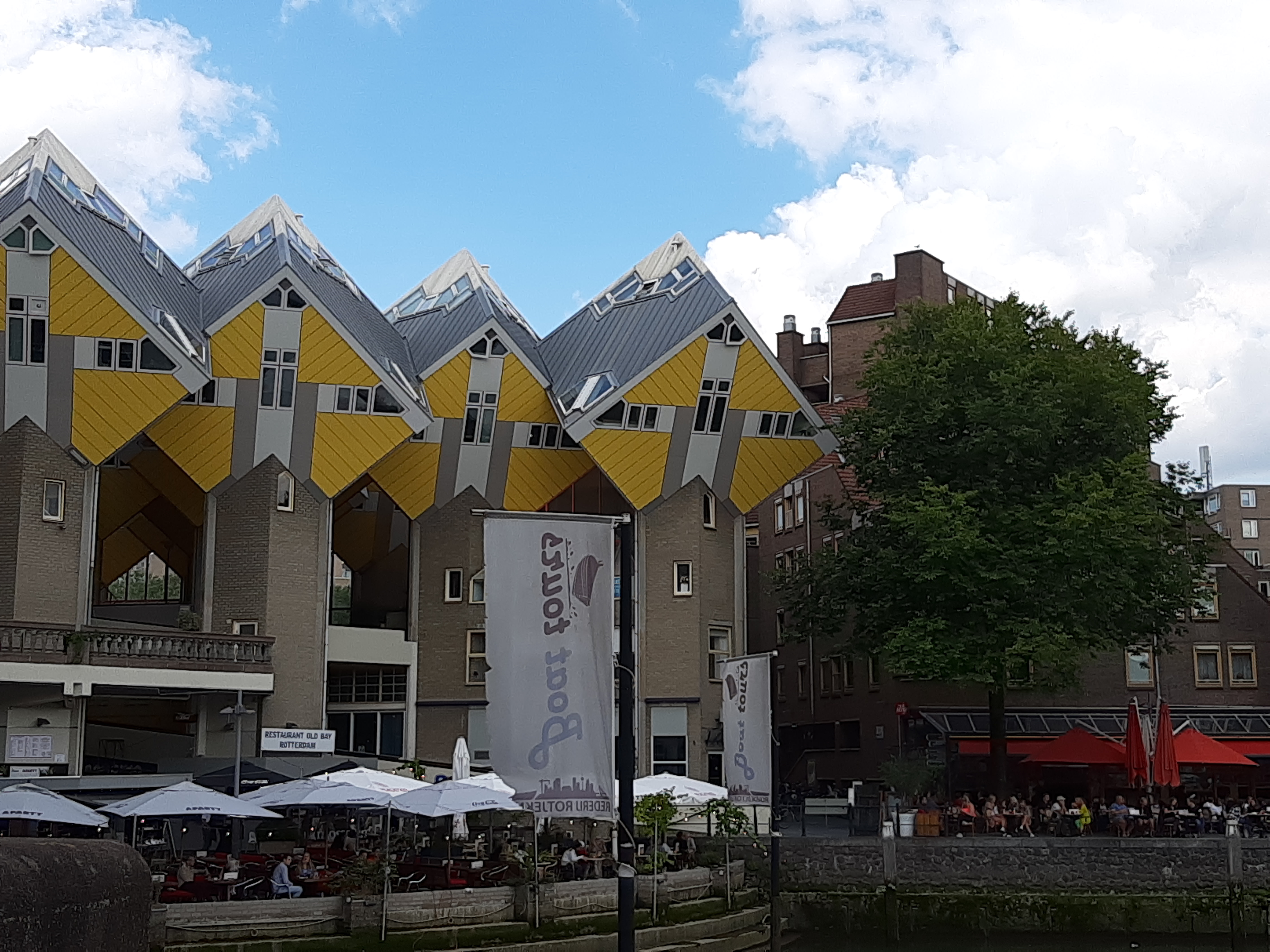 architectural tour rotterdam