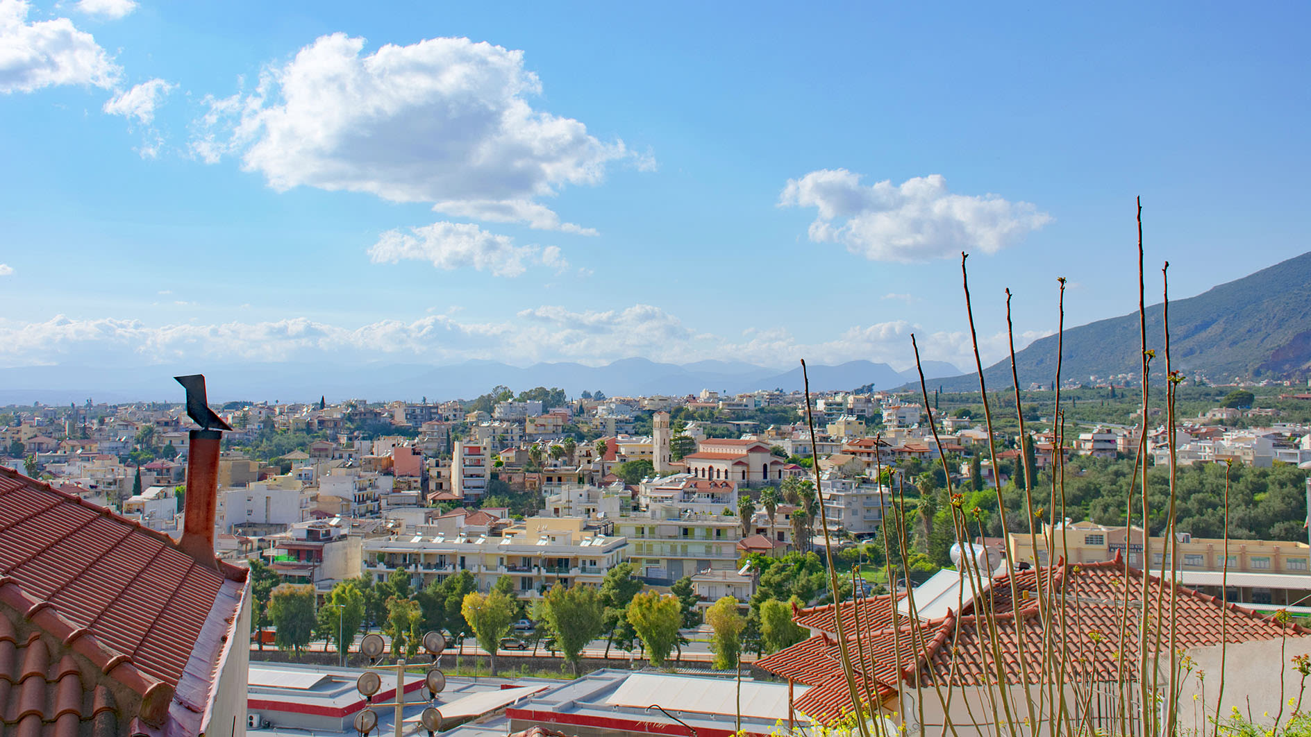 Explore The Greek Town Of Kalamata live online tour from Kalamata