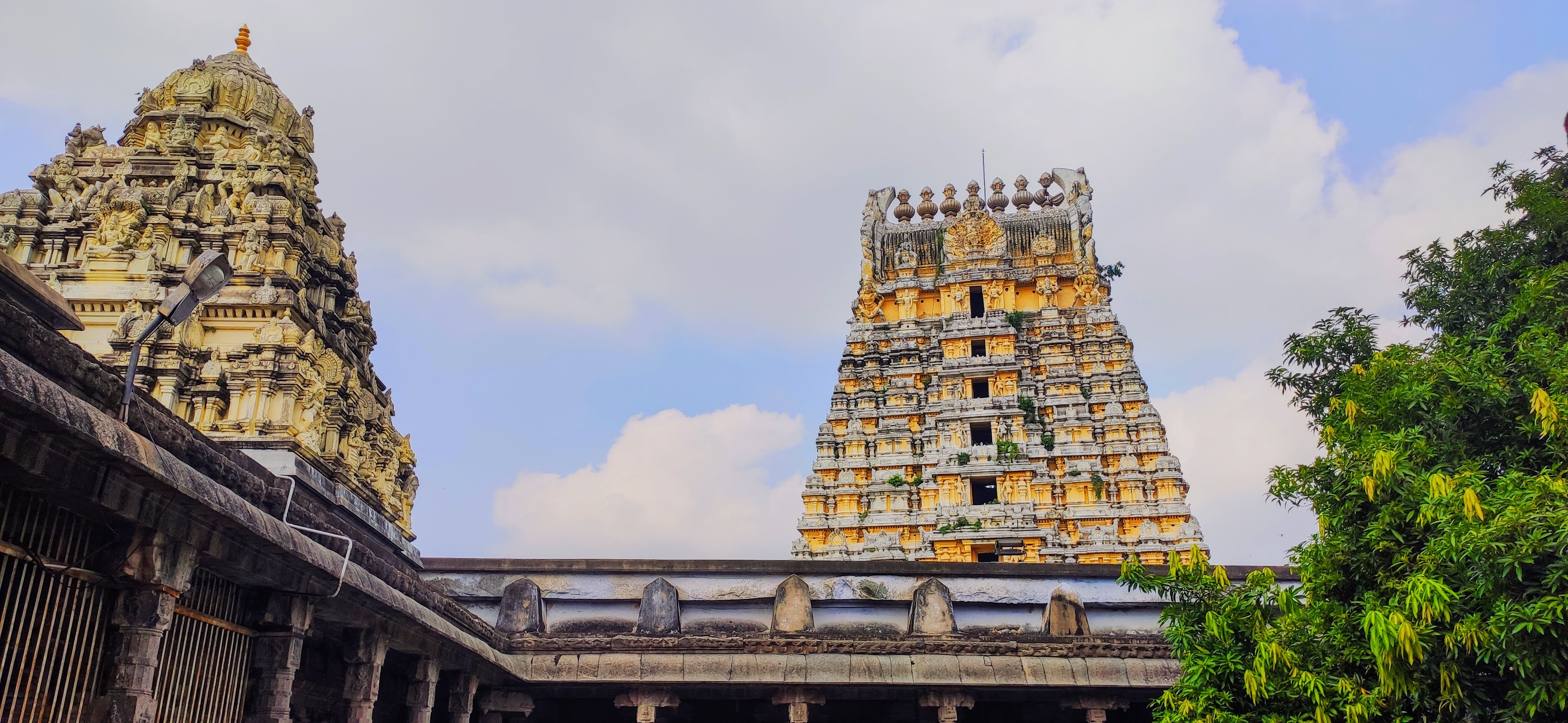 Explore the Heritage of Kanchipuram live online tour from Kanchipuram