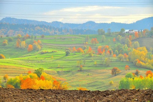 Iza River Valley, the Heart of Maramures