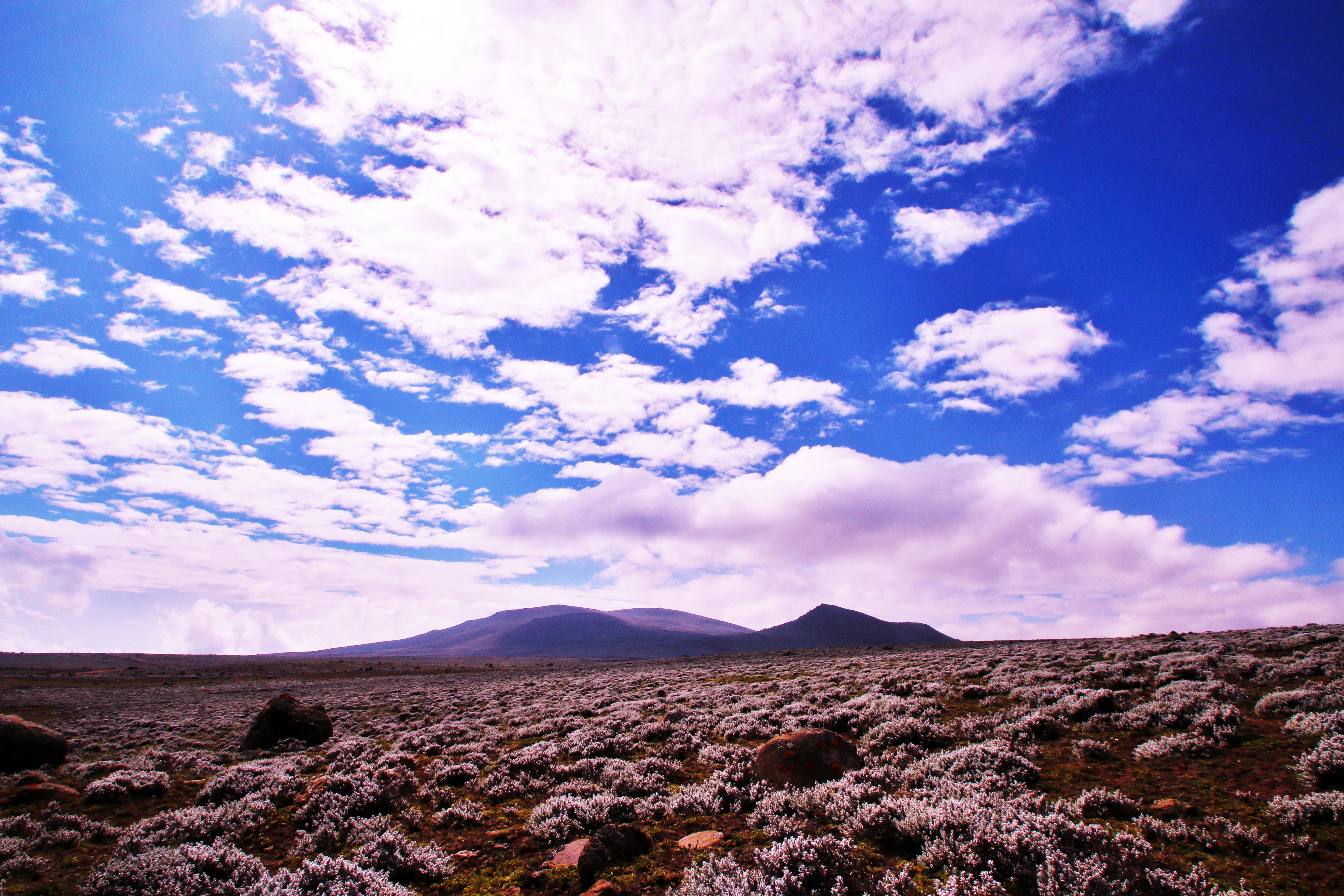 Bale Mountains National Park