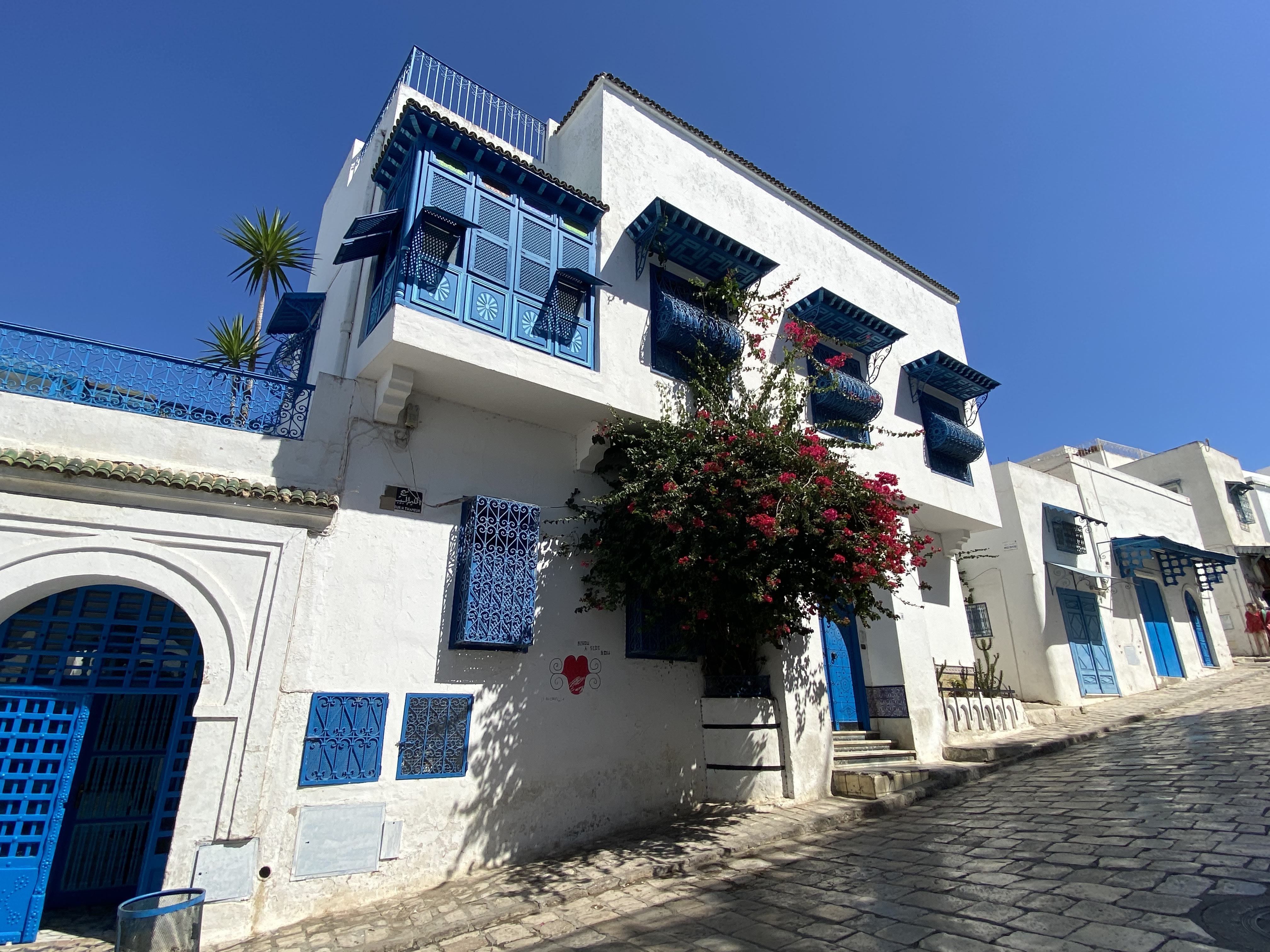 See the Architectural Marvels of Sidi Bou Said live online tour from