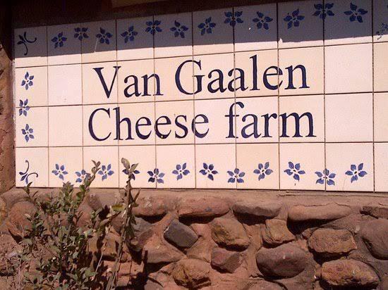 Taste Wine And Cheese At Van Gaalen Kaasmaakerij Live Online Tour From Johannesburg