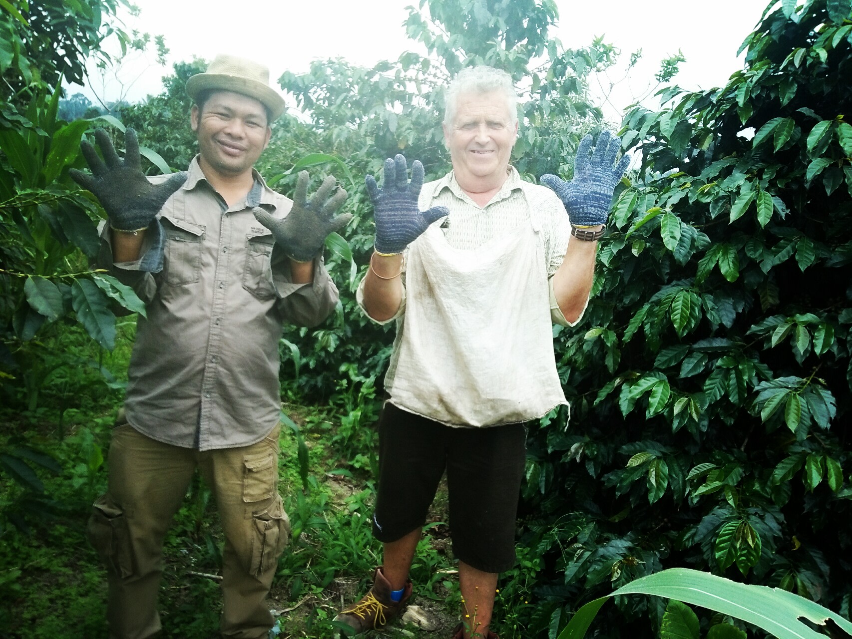 Sumatra Coffee Tour