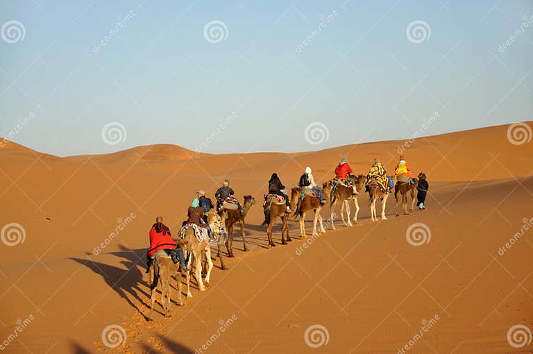 Atuman Tranquility in the Golden Dunes of Merzouga Desert