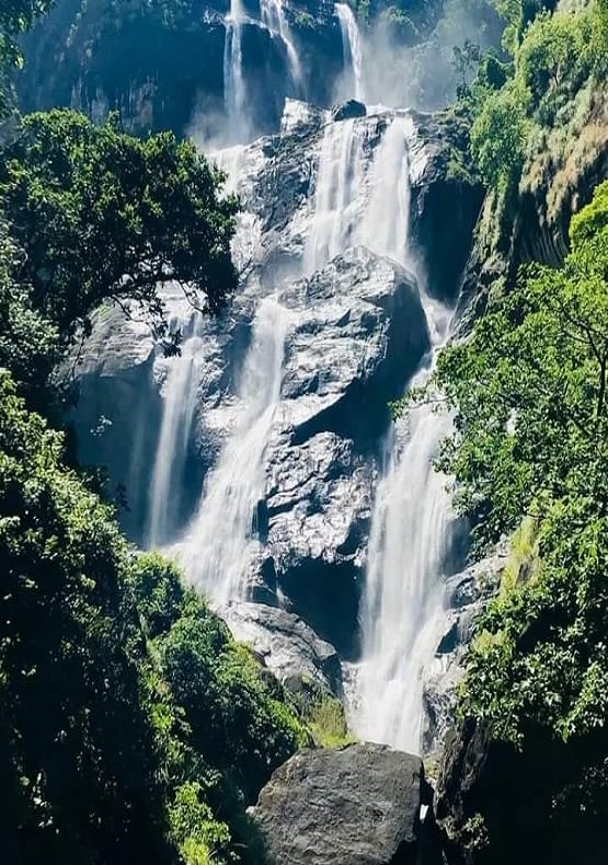 Udzungwa Mountains National Park 