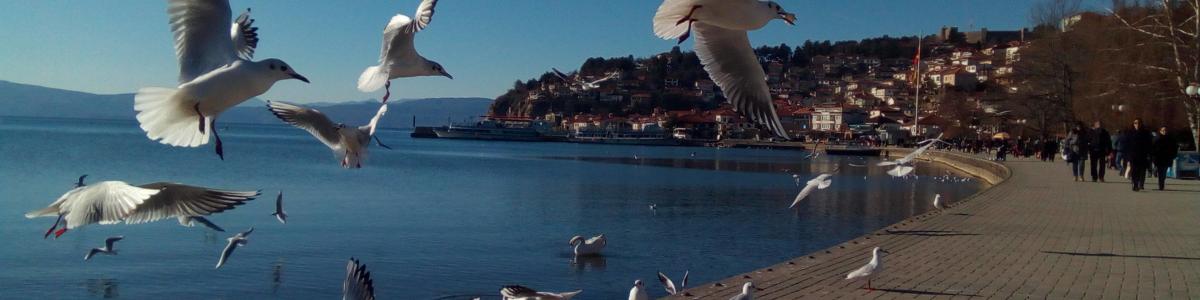 ohrid-tour-guide