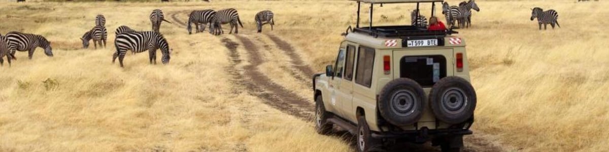 Chabo-Africa-Safari-in-Tanzania