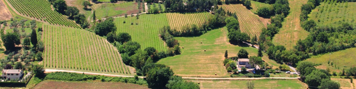 orvieto-tour-guide