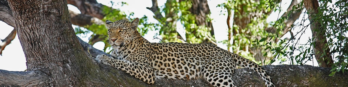 Madukha-Tours-&-Safaris-Ltd-in-Kenya