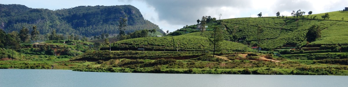 nuwaraeliya-tour-guide