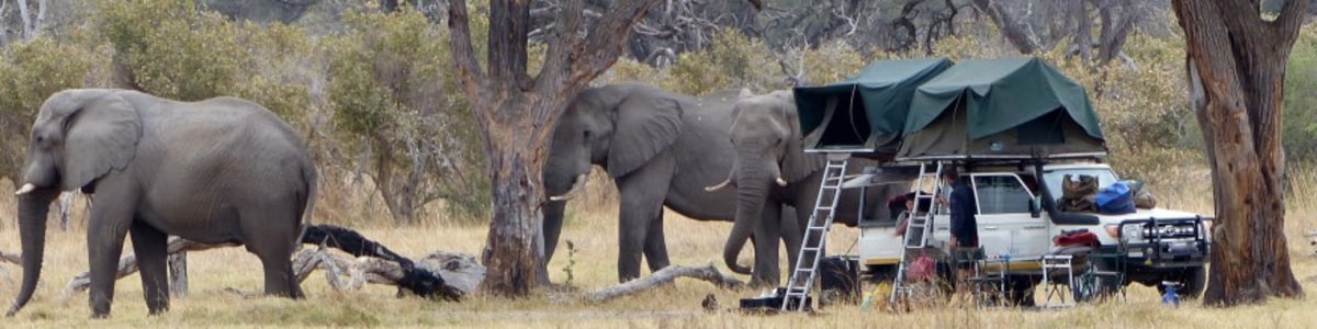 Imela-Wilderness-in-Botswana