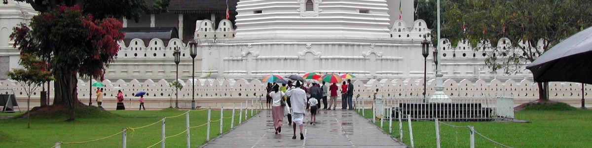 kandy-tour-guide