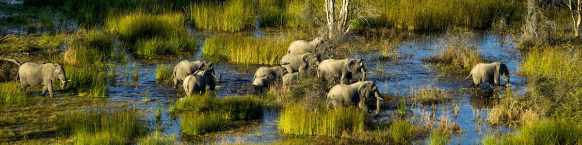 Kalahari-Culture-&-Nature-Safaris-in-Botswana