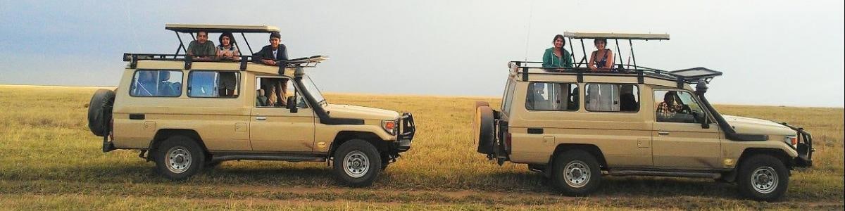 Feline-Safaris-Tanzania-in-Tanzania