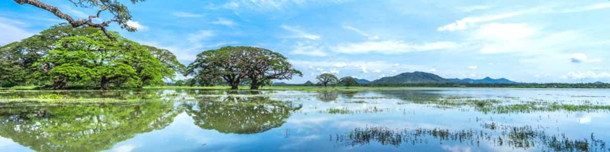 Nature-Paradise-Tours-in-Sri-Lanka