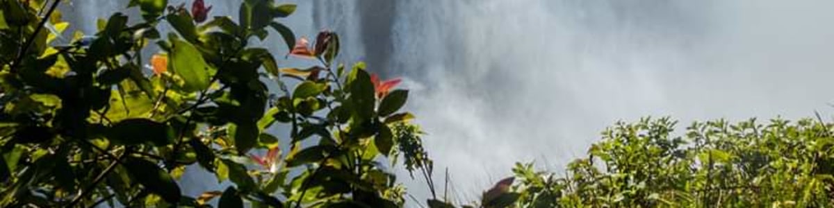 Victoria-Falls-Adventures-And-Safaris-in-Zambia