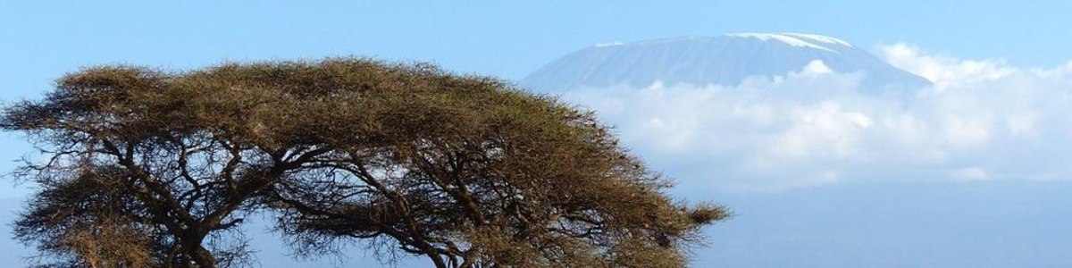 mountkilimanjaro-tour-guide