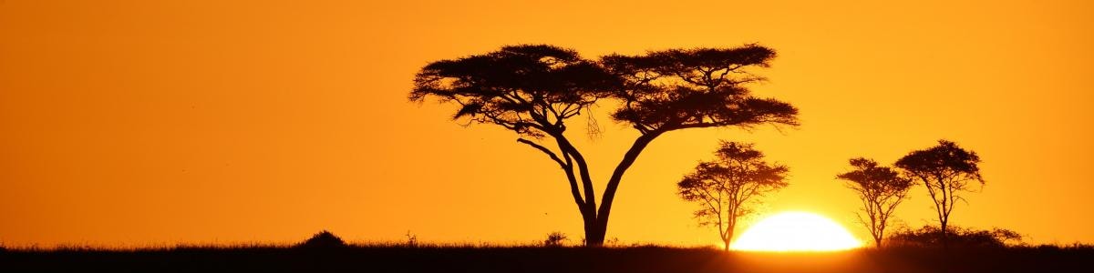 GoExplore-Safaris-in-Uganda