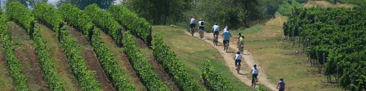 Bike-In-Time-in-Romania