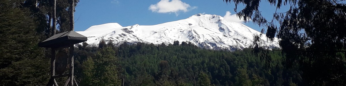 valdivia-tour-guide