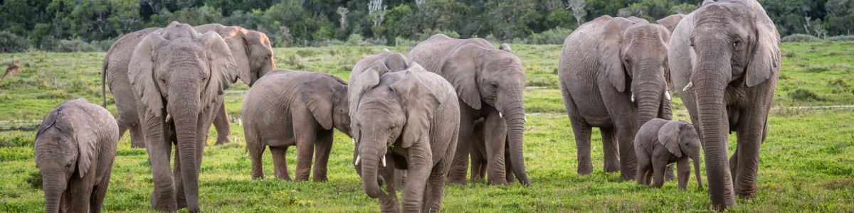 arusha-tour-guide