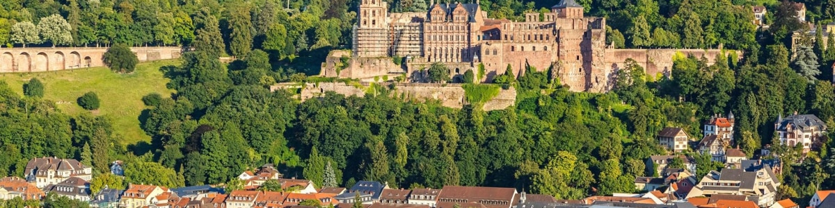 heidelberg-tour-guide