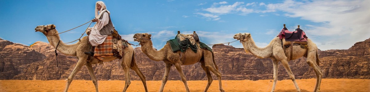 Petra-Nights-Tours-in-Jordan