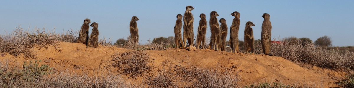 Cape-Rebel-Tours-in-South-Africa